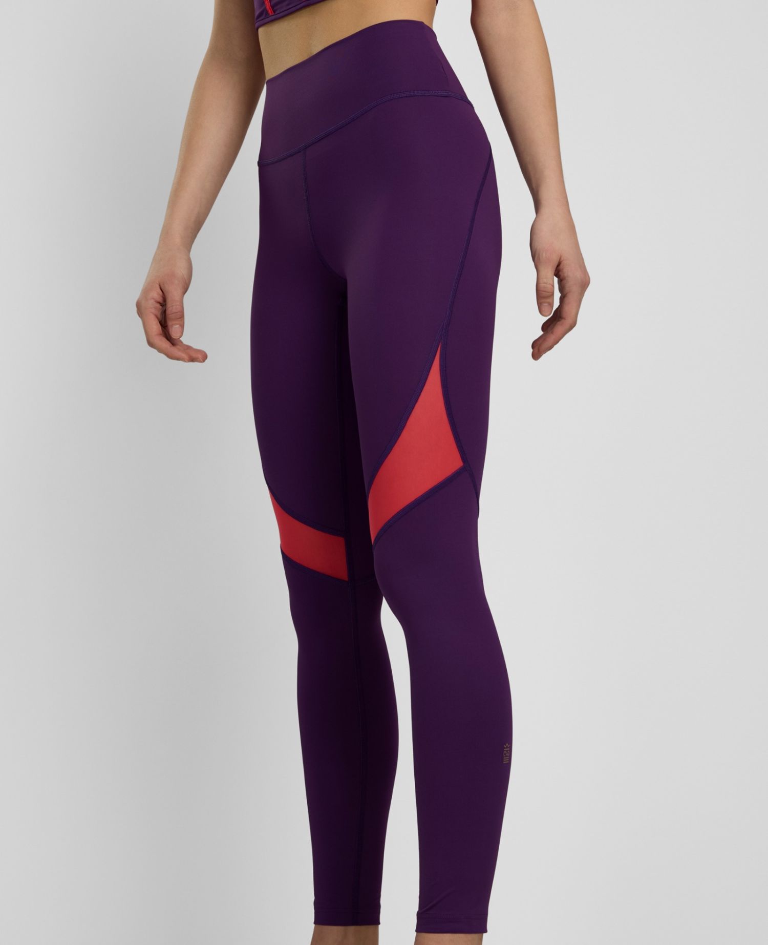 main product photo Daring Mesh Leggings Viola
